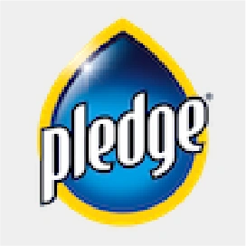 Pledge