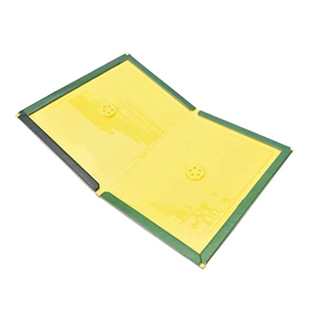 مصيدة فئران لاصقة بشكل لوحة غير سامة  -2 قطعه