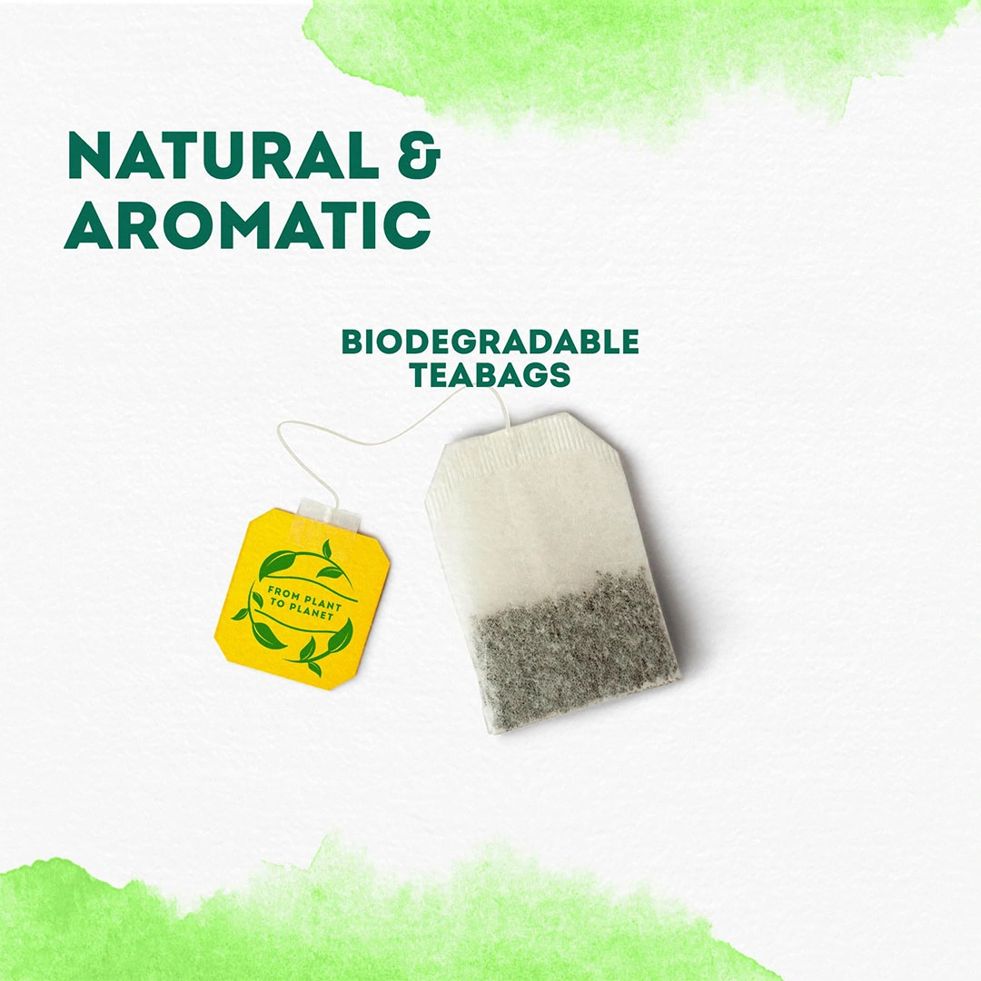 توليفة أعشاب نعناع ليبتون - 20 كيس