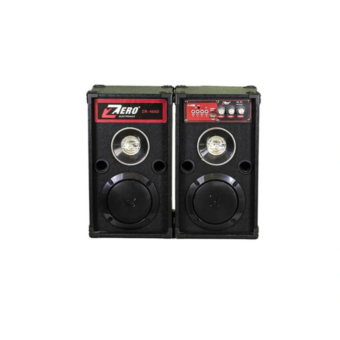 ZR-4650 مكبر صوت لاسلكي - أسود