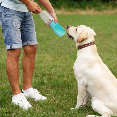 زجاجة مياه للكلاب 550 مل للسفر والمشي والتدريب - أزرق