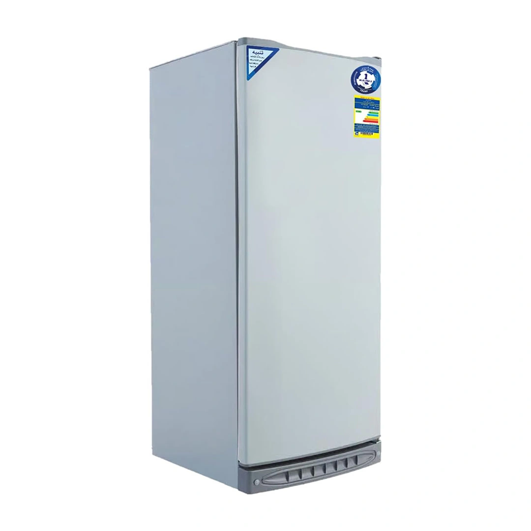 ثلاجة الاسكا ديفروست - 289 لتر - فضي