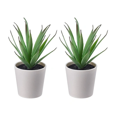 نباتات مكتبية صناعية صغيرة 6 سم - 2 قطعة - ايكيا - أبيض