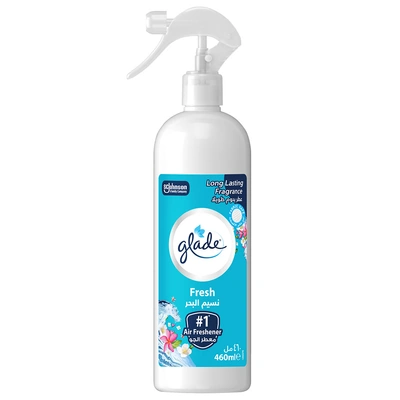 جليد بخاخ معطر جو متعدد الاستعمالات - أكوا - 460 مل