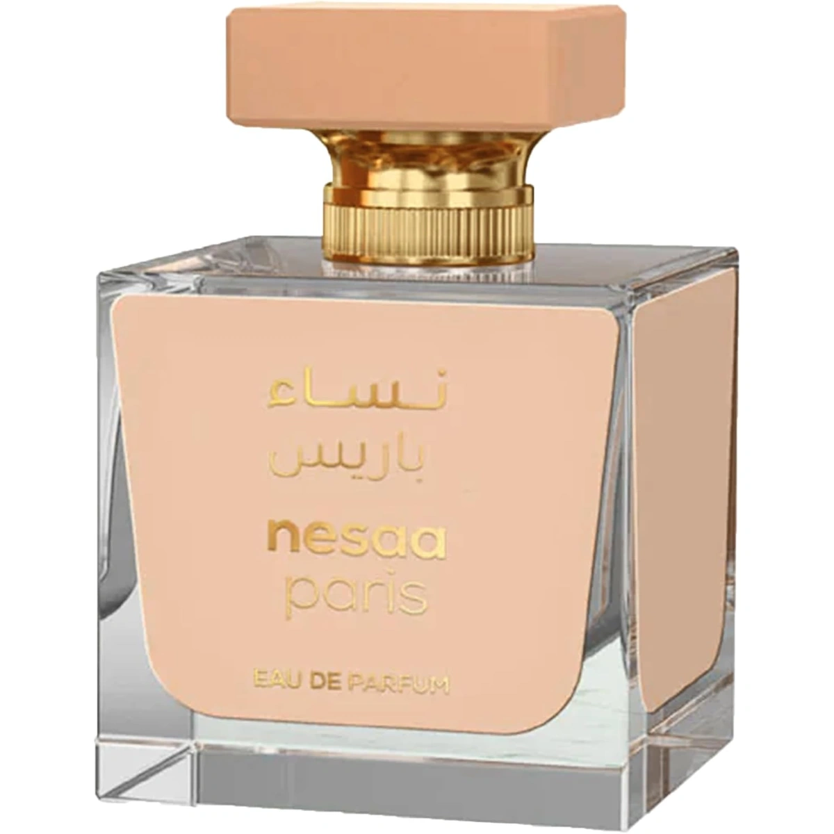 نيسا باريس أو دو بارفان - حريمي - 100 مل