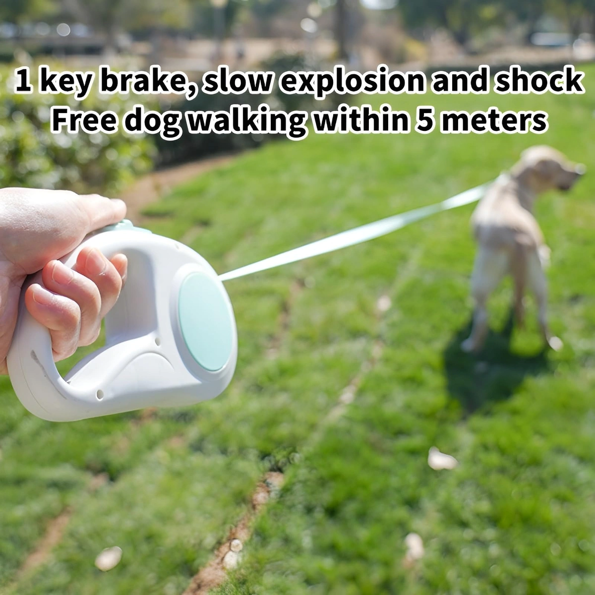 مقود أوتوماتيك للحيوانات الأليفة 5 متر بإضاءة LED – بنفسجي