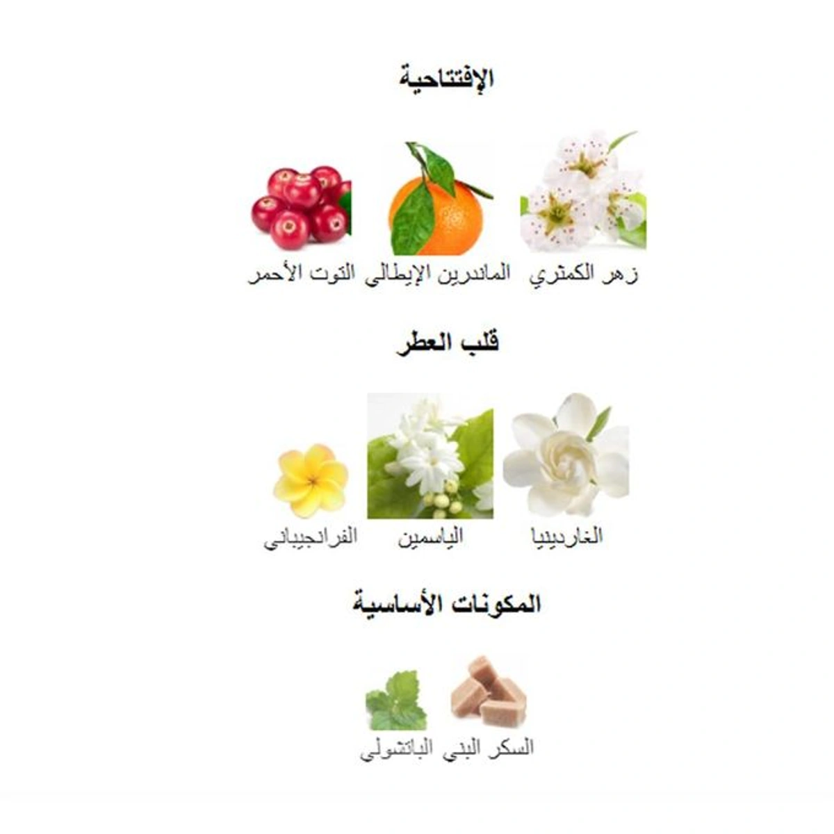 لانا ديفاين او دو بارفان - حريمي - 100 مل