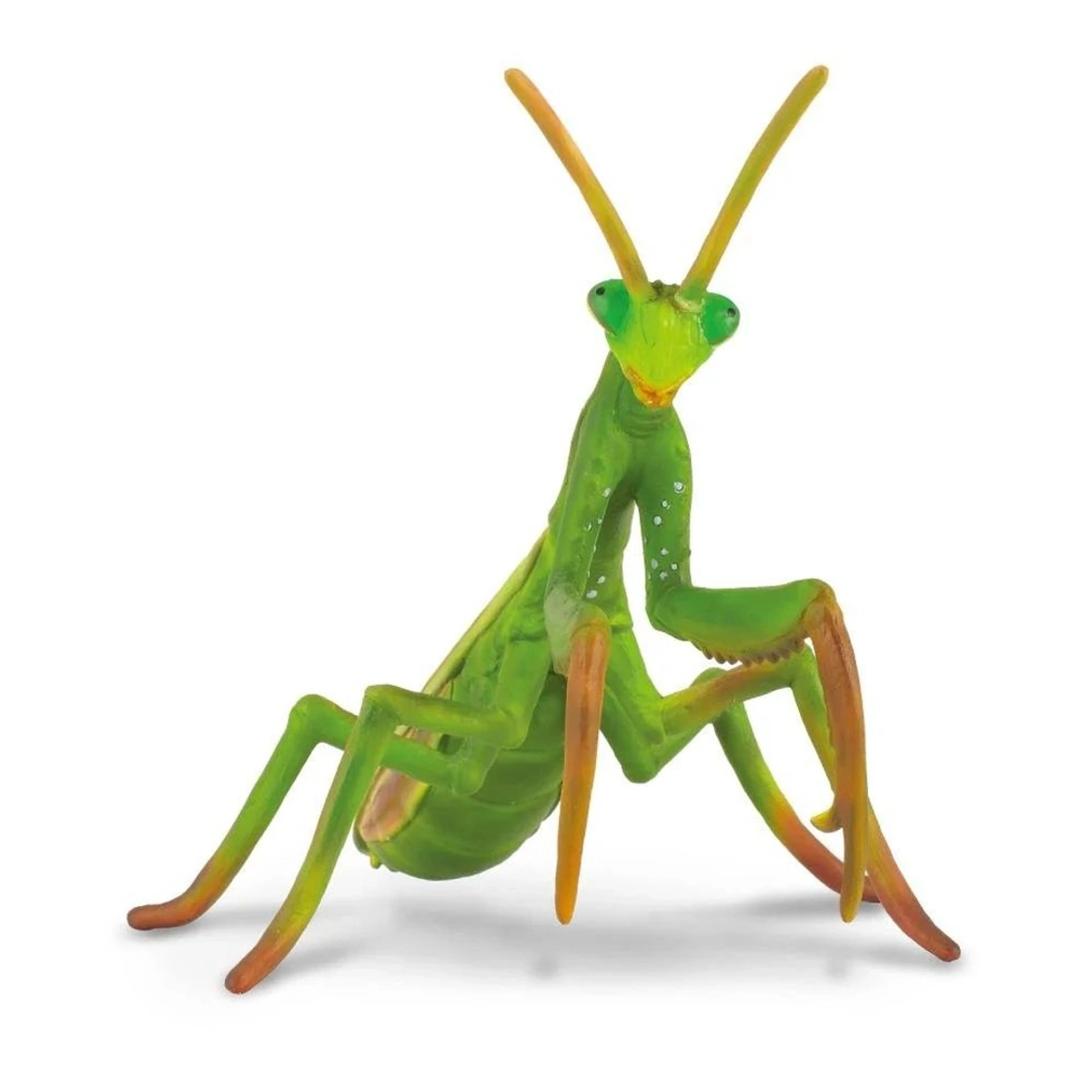 【GWセール】COLE Praying Mantis サーフボードセット ef098e7790d9a5eabded2f27026c02