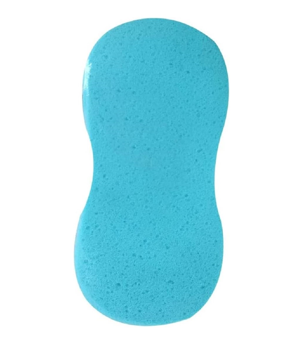 الاسفنجة المضغوطة