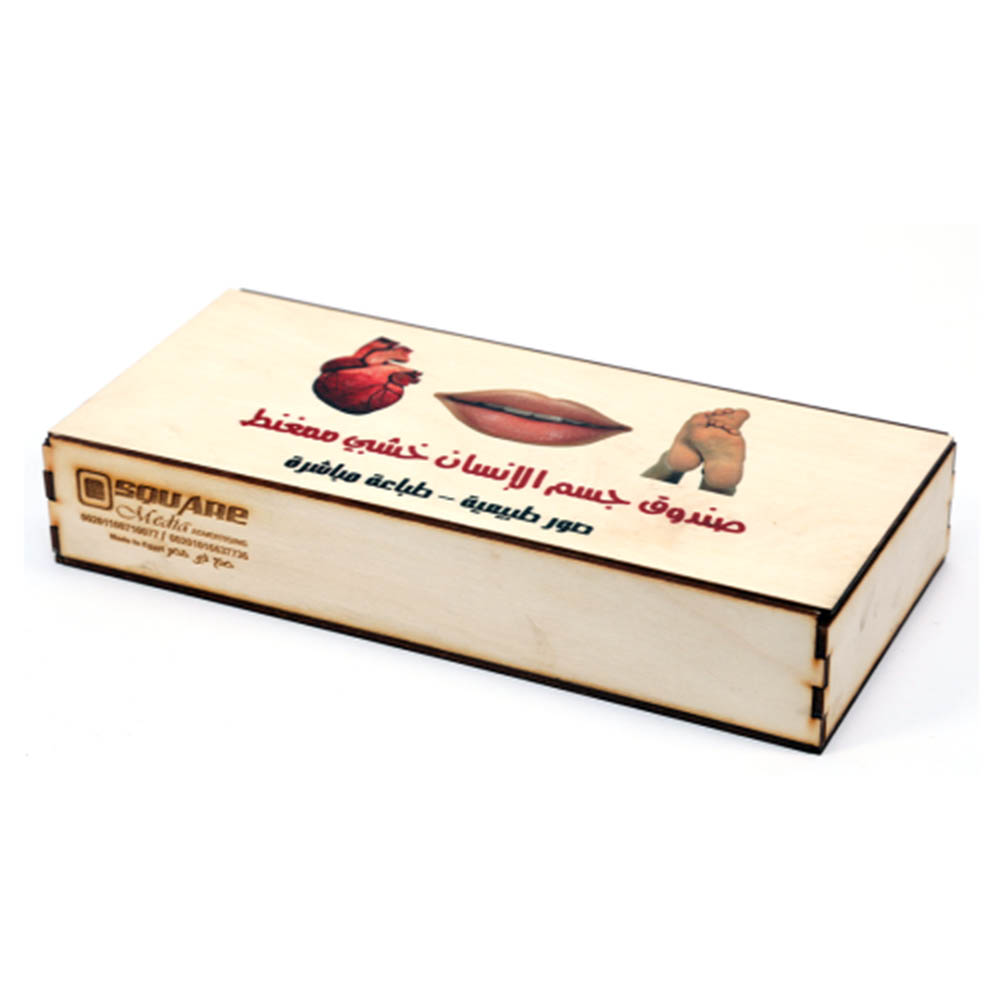 لعبة أطفال تعليمية - لجسم الأنسان