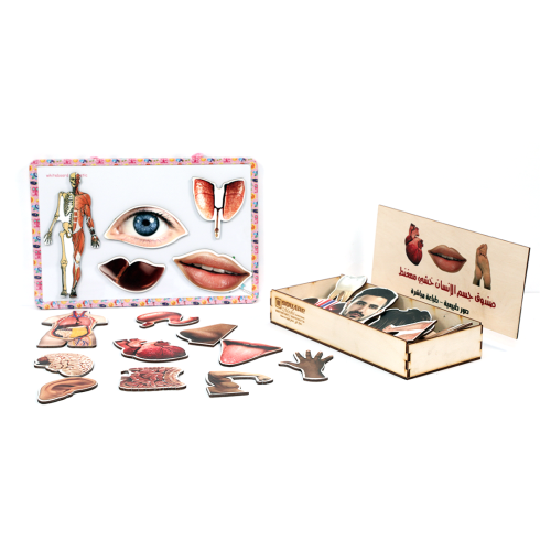 لعبة أطفال تعليمية - لجسم الأنسان