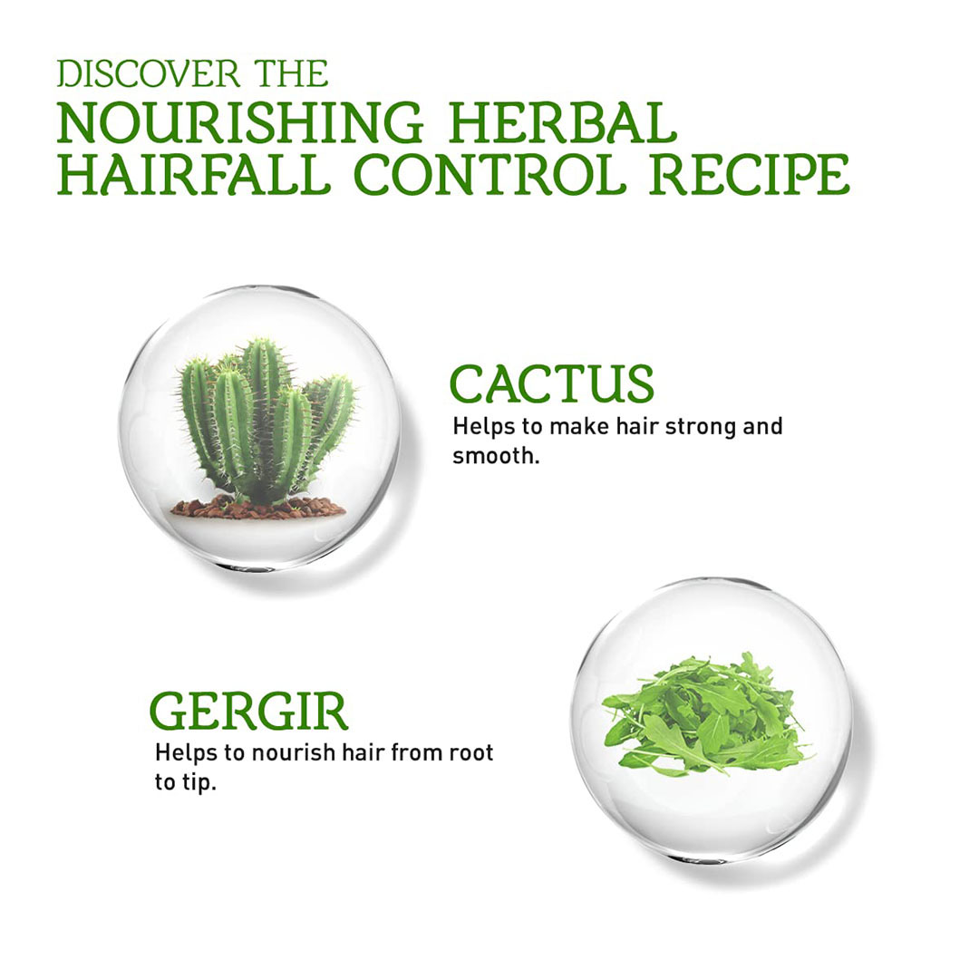 زيت بديل الشعر فاتيكا لإصلاح الشعر بالصبار - 200 مللي