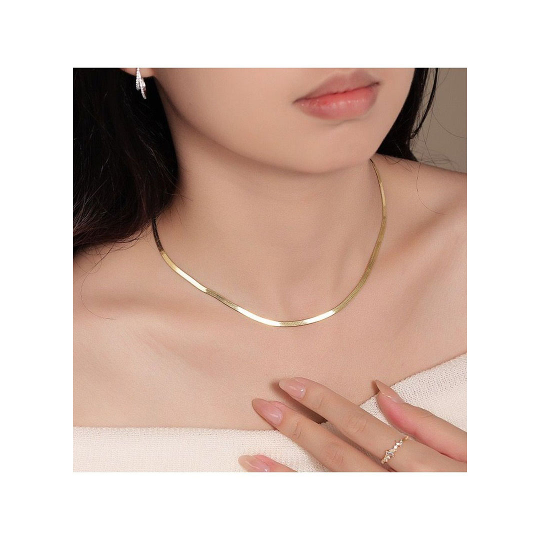 سلسله ضهر حيه استانلس - جولد