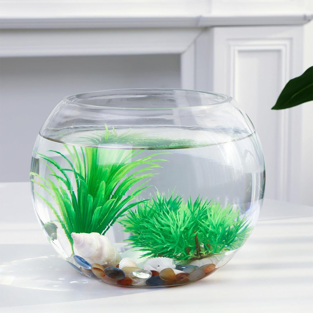 حوض سمك زجاجي فقط - 25 سم - شفاف