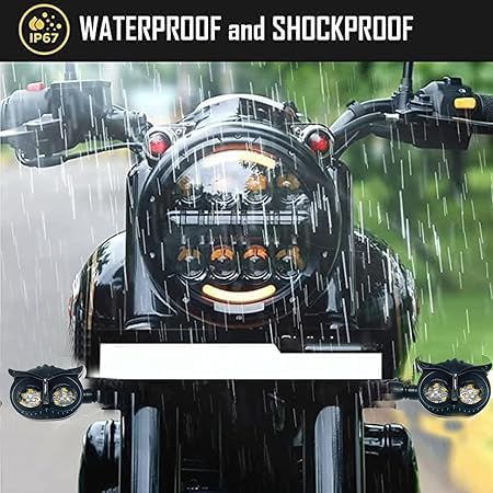 لمبة اشارة شكل بومة للموتوسيكل - 2 قطعة