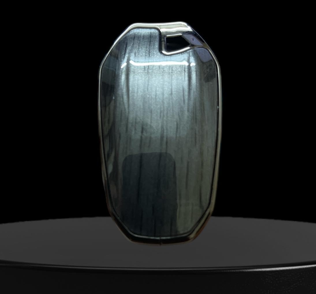 جراب ريموت بيجو 3008 - زيتي