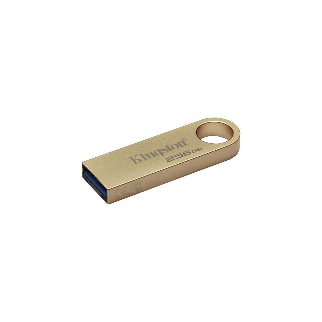 فلاشة كينجستون - 256 جيجا - USB 3.0 - DTSE9G3