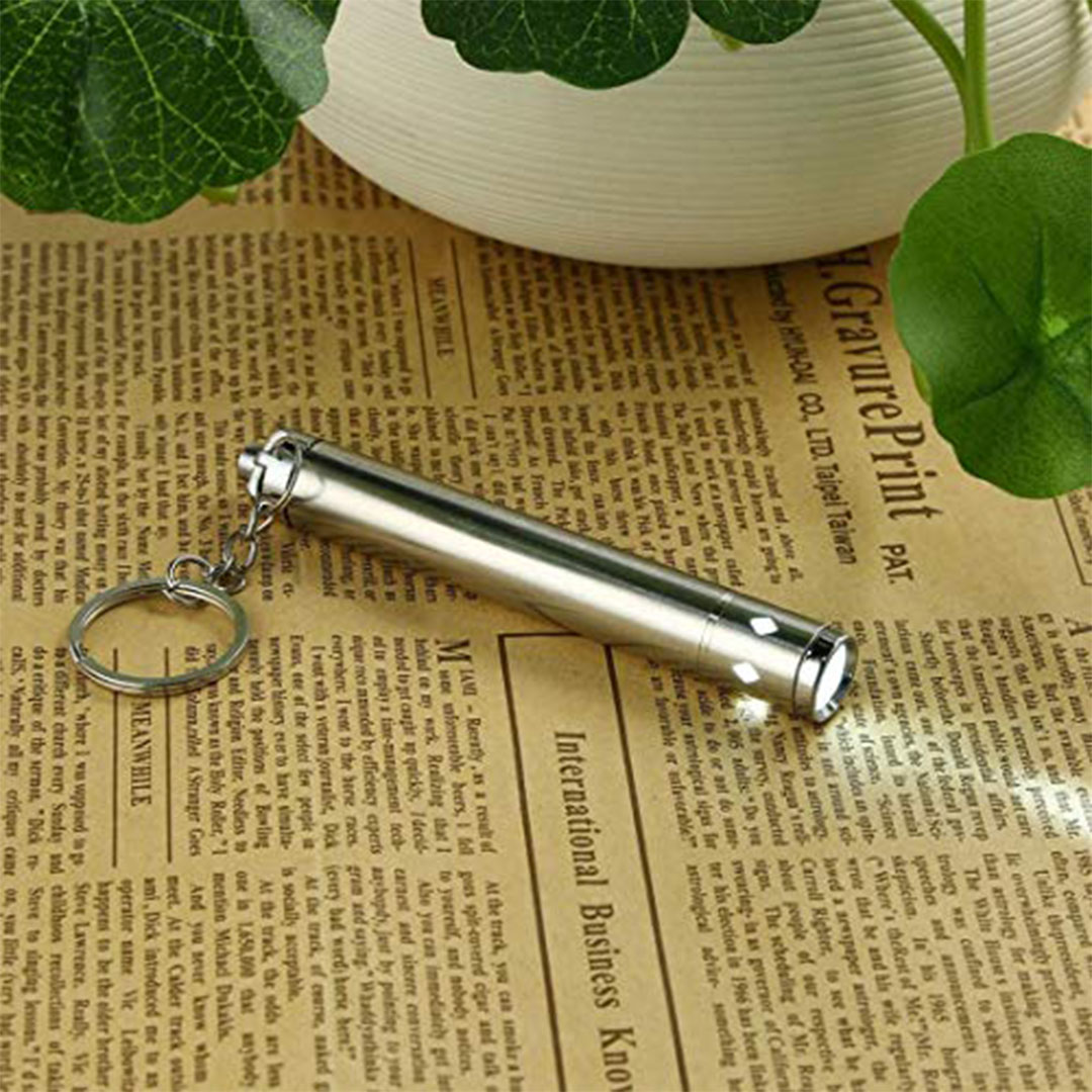 كشاف يدوي محمول للرحلات – فضي