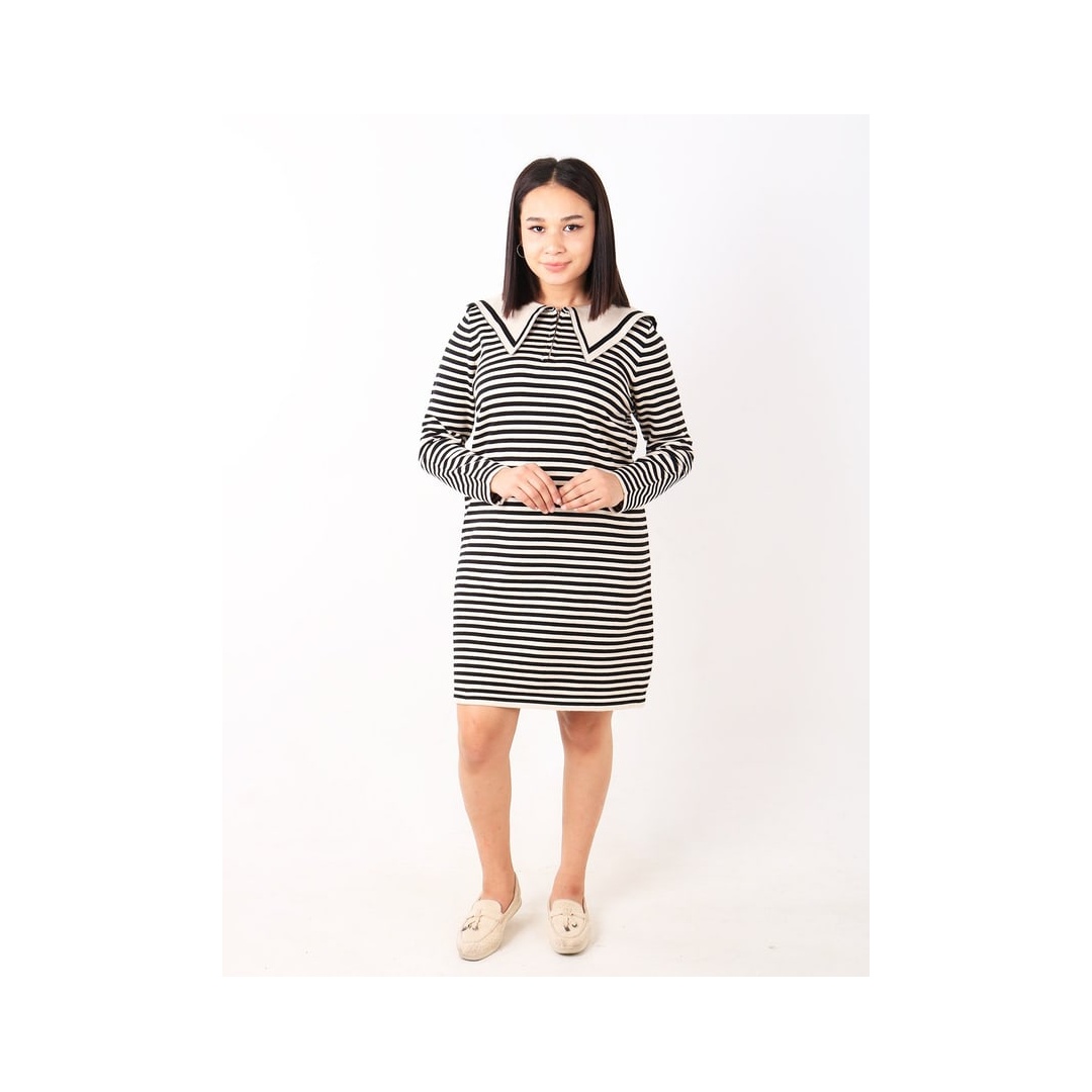 شي ان فستان نسائي مخطط من AZALY بياقة واقفة