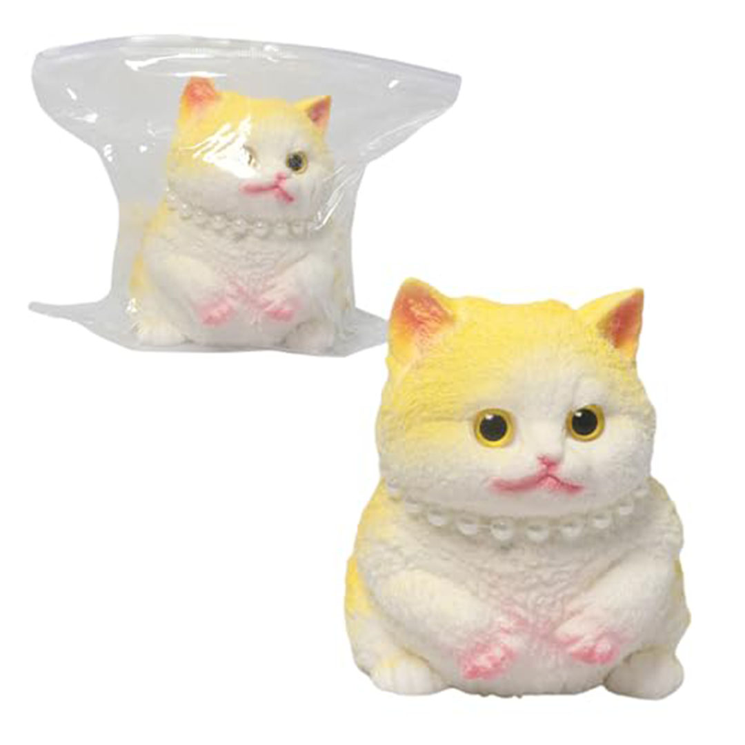 اسكوويشي قطة كبيرة ناعمة