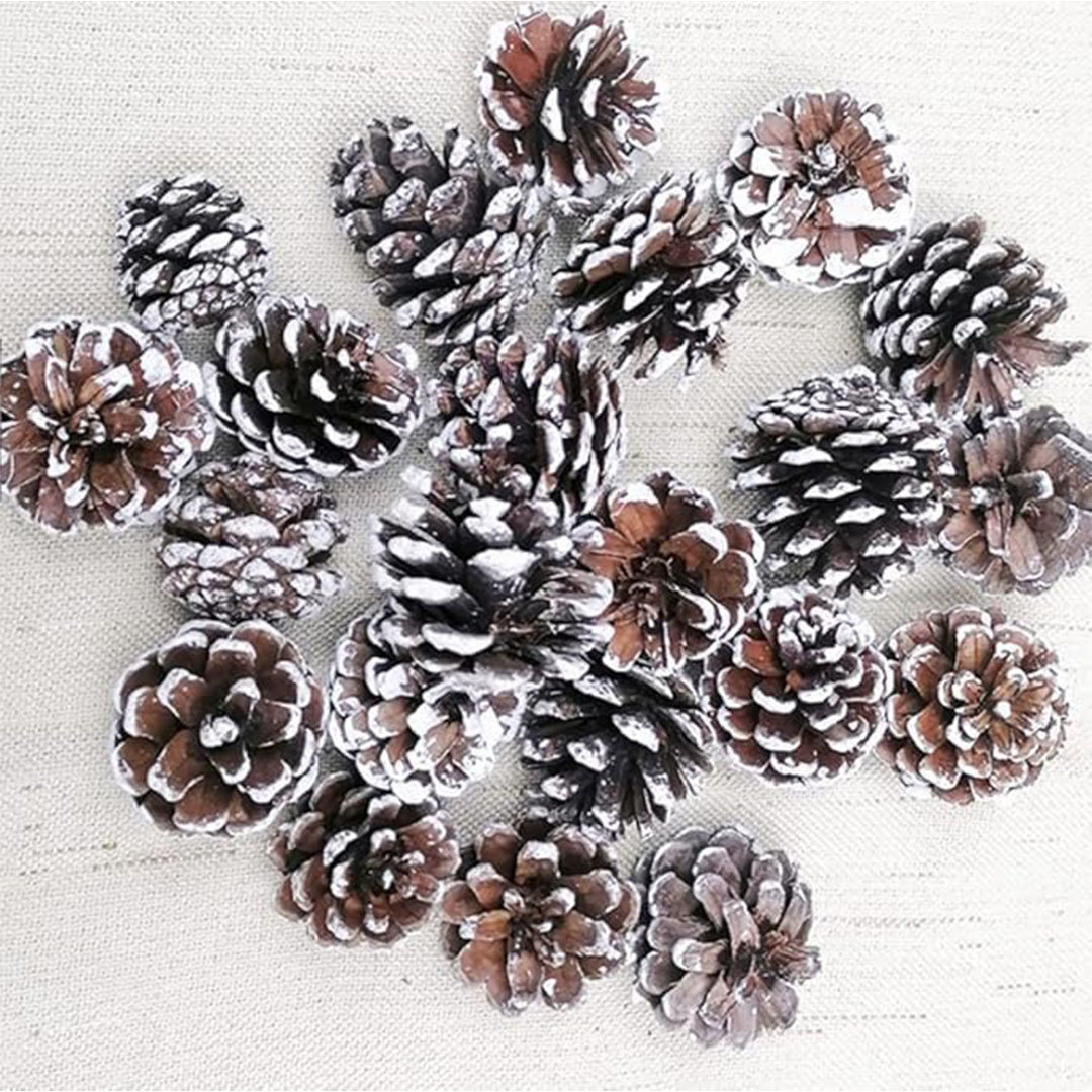 أكواز صنوبر طبيعية لتزيين الشجرة - 10 قطع