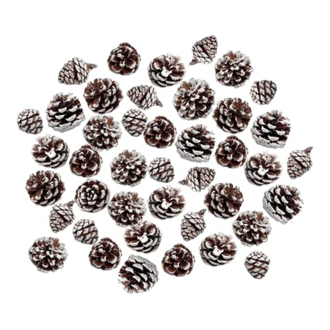 أكواز صنوبر طبيعية للكريسماس - 48 قطعة