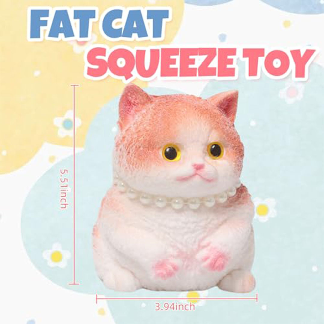 اسكوويشي قطة كبيرة ناعمة