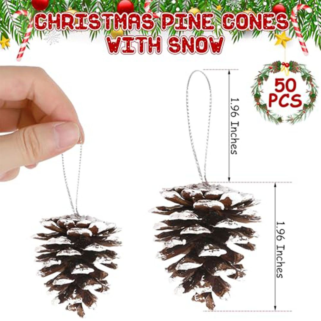 طقم أكواز صنوبر ثلجية طبيعية - 50 قطعة