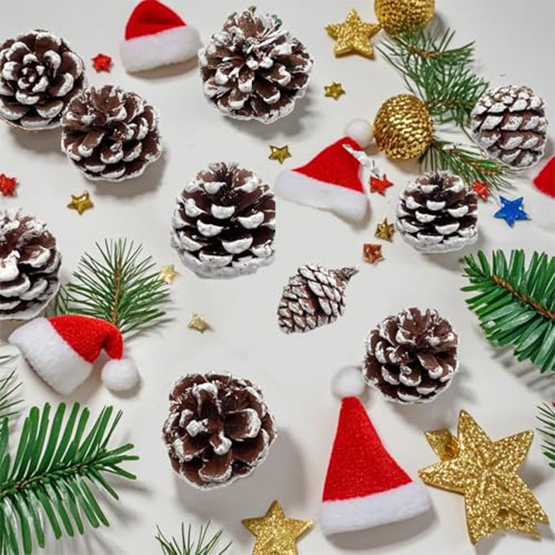 أكواز صنوبر طبيعية للكريسماس - 48 قطعة