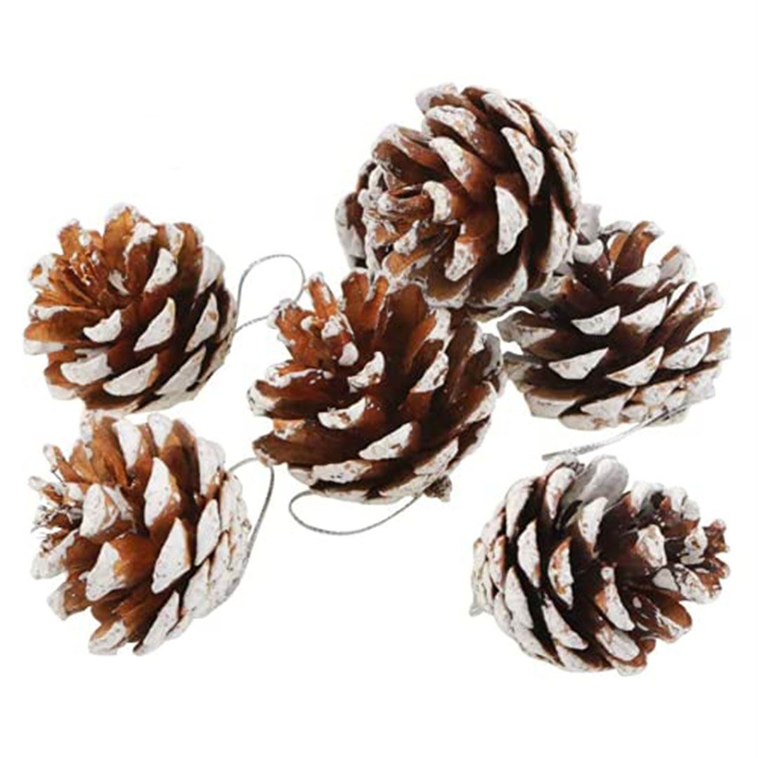 أكواز صنوبر طبيعية ملونة لتزيين الشجرة - 18 قطعة