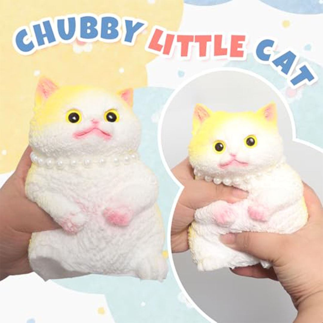 اسكوويشي قطة كبيرة ناعمة