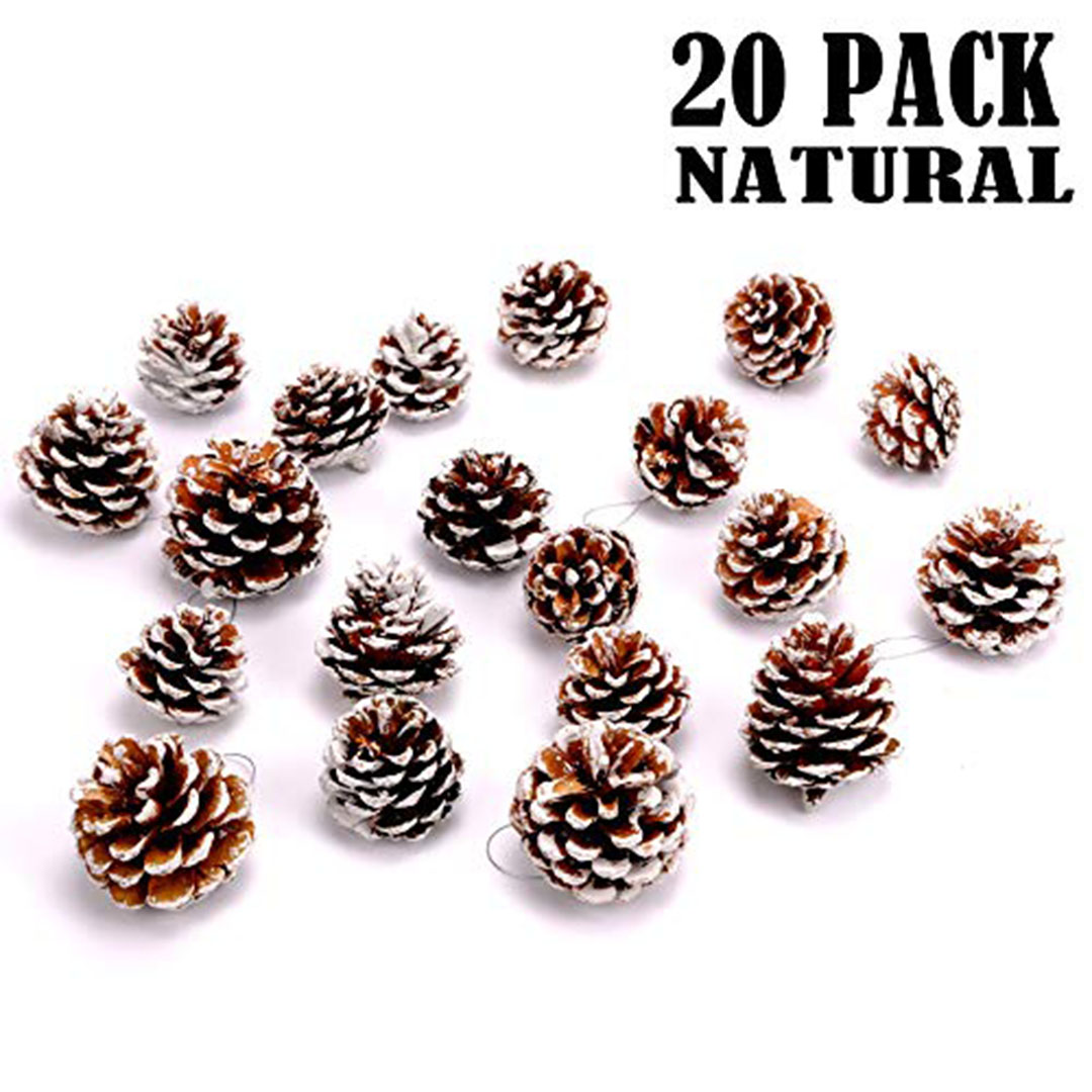 أكواز صنوبر كبيرة بخيط فضي - 20 قطعة