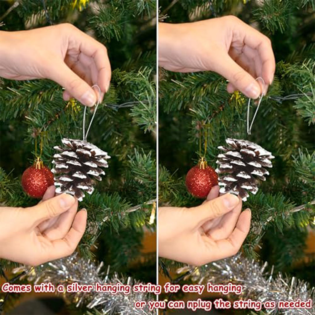 طقم أكواز صنوبر ثلجية طبيعية - 50 قطعة