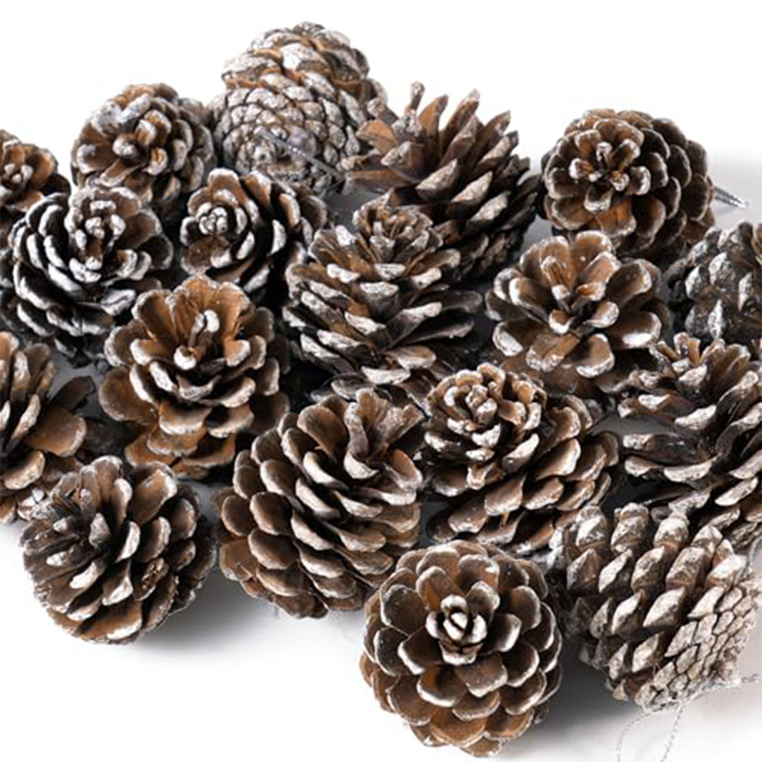 أكواز صنوبر طبيعية للزينة - 27 قطعة