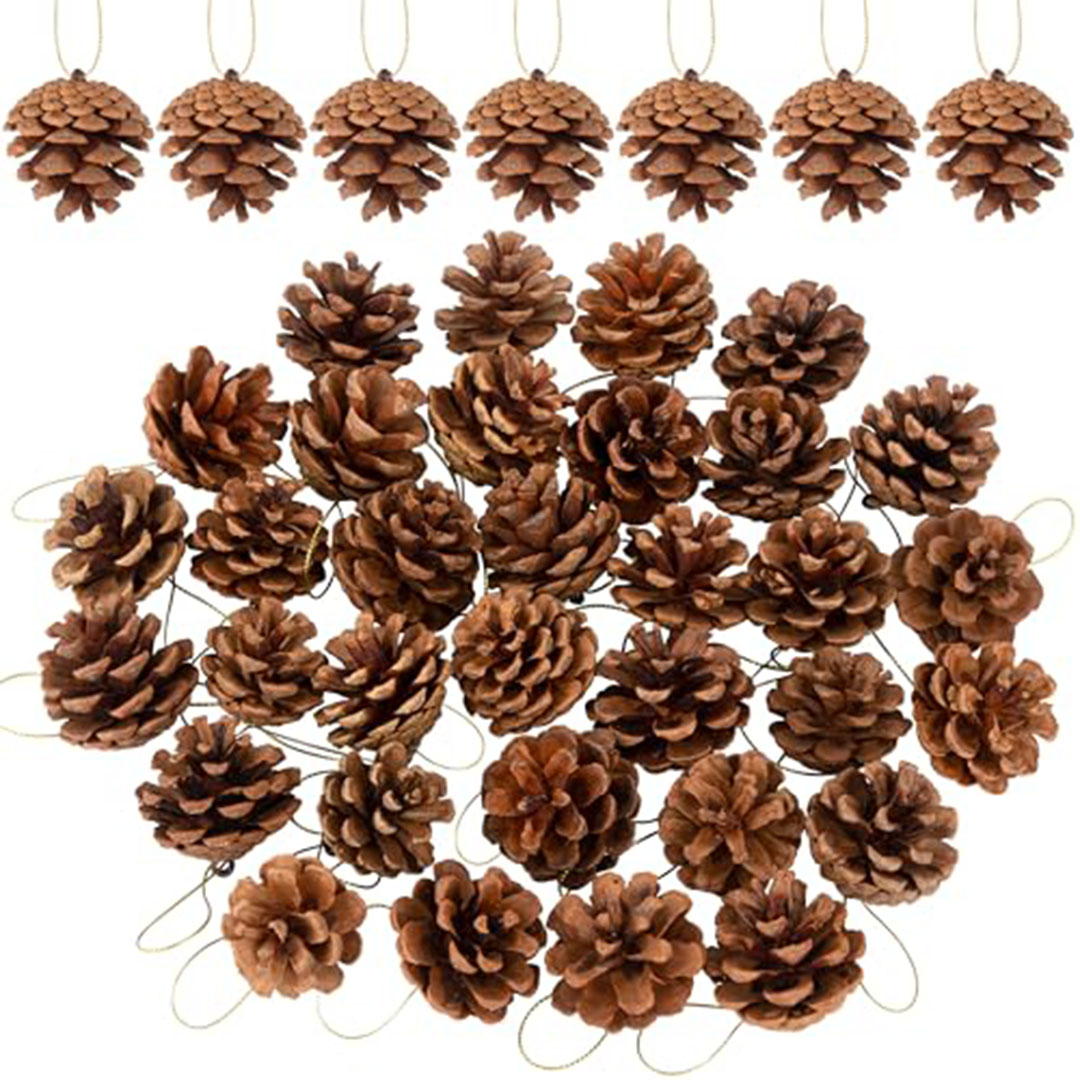 أكواز صنوبر طبيعية للتزيين - 40 قطعة