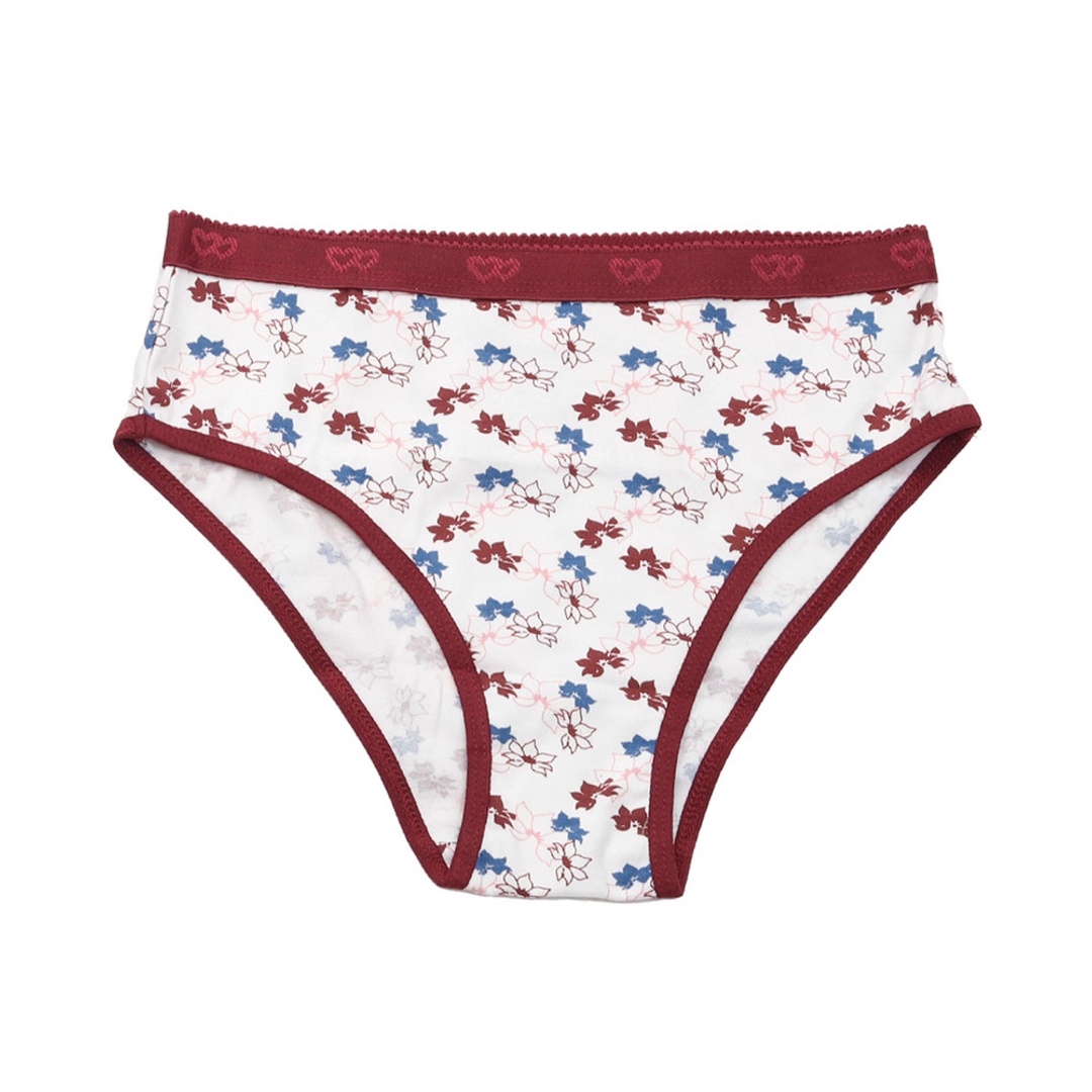 كارينا كوكيز بانتي حريمي بريف قطن - متعدد الألوان