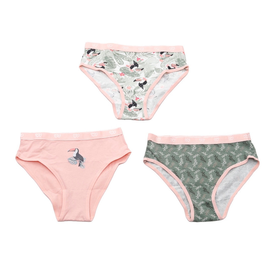 كارينا كوكيز بانتي حريمي بريف قطن - 3 قطع