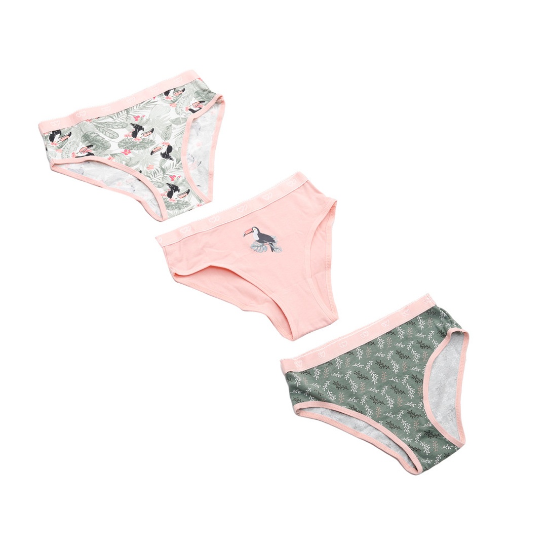 كارينا كوكيز بانتي حريمي بريف قطن - 3 قطع