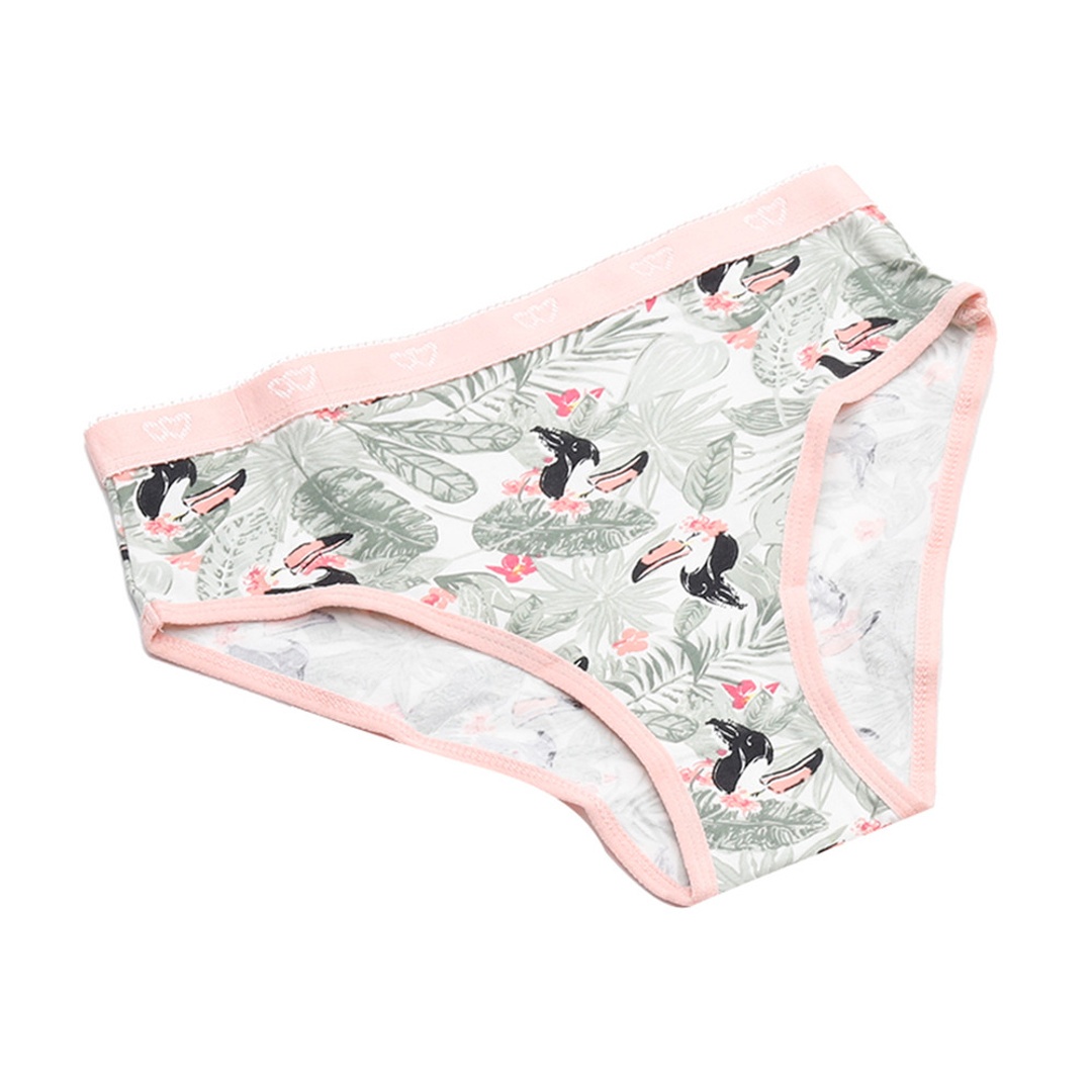 كارينا كوكيز بانتي حريمي بريف قطن - 3 قطع