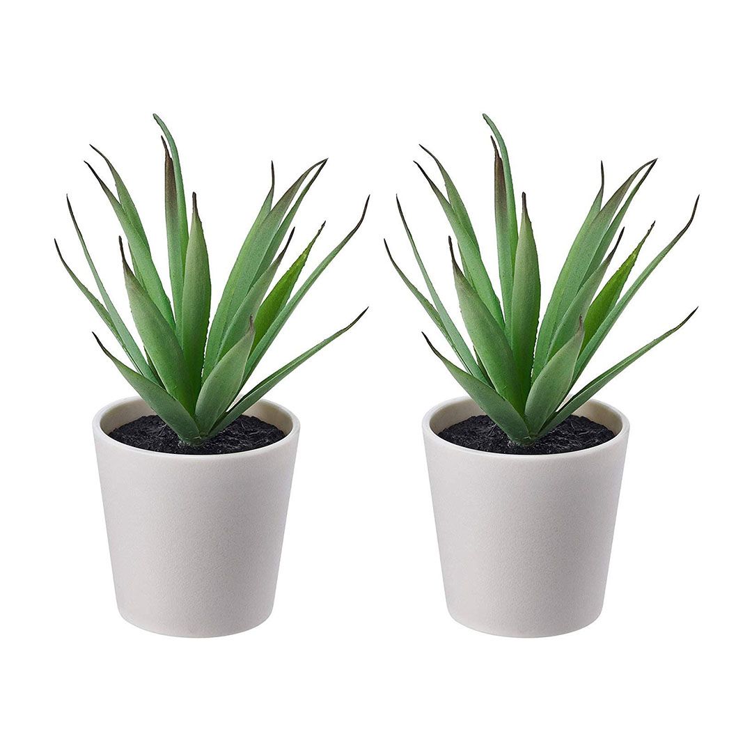 نباتات مكتبية صناعية صغيرة 6 سم - 2 قطعة - ايكيا - أبيض