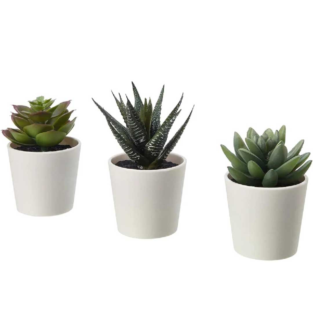 نبات زينة صناعي فيجكا - 3 قطع - أخضر