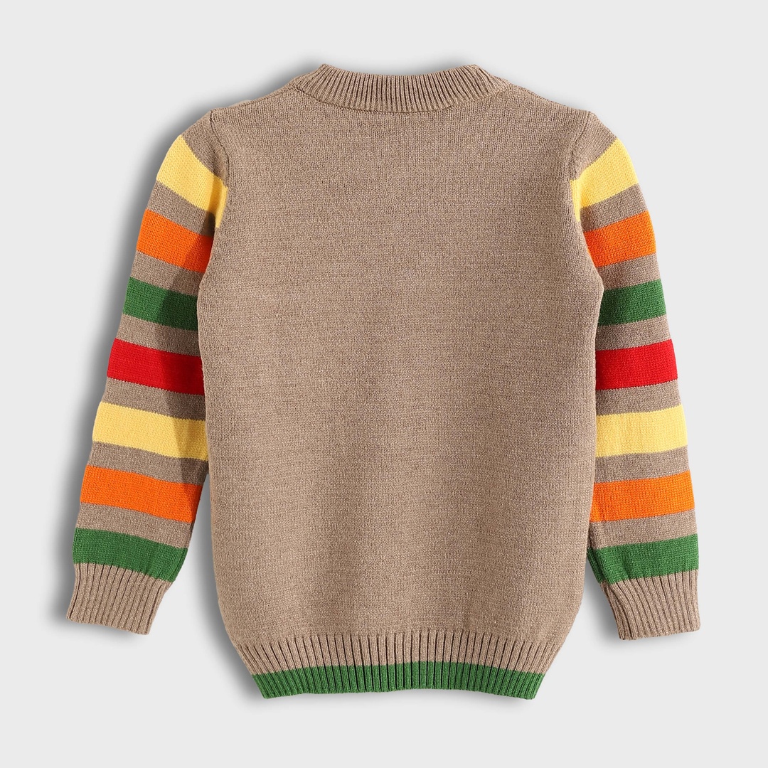 بلوفر شتوي أولادي بجيب وكم مقلم - 1462