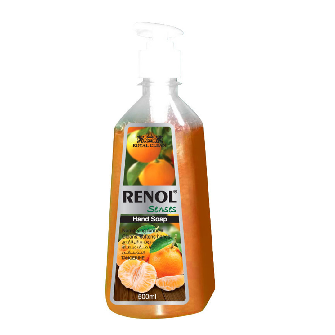 رينول هاند سوب سينسز يوسفى بخاخ - 500 مل