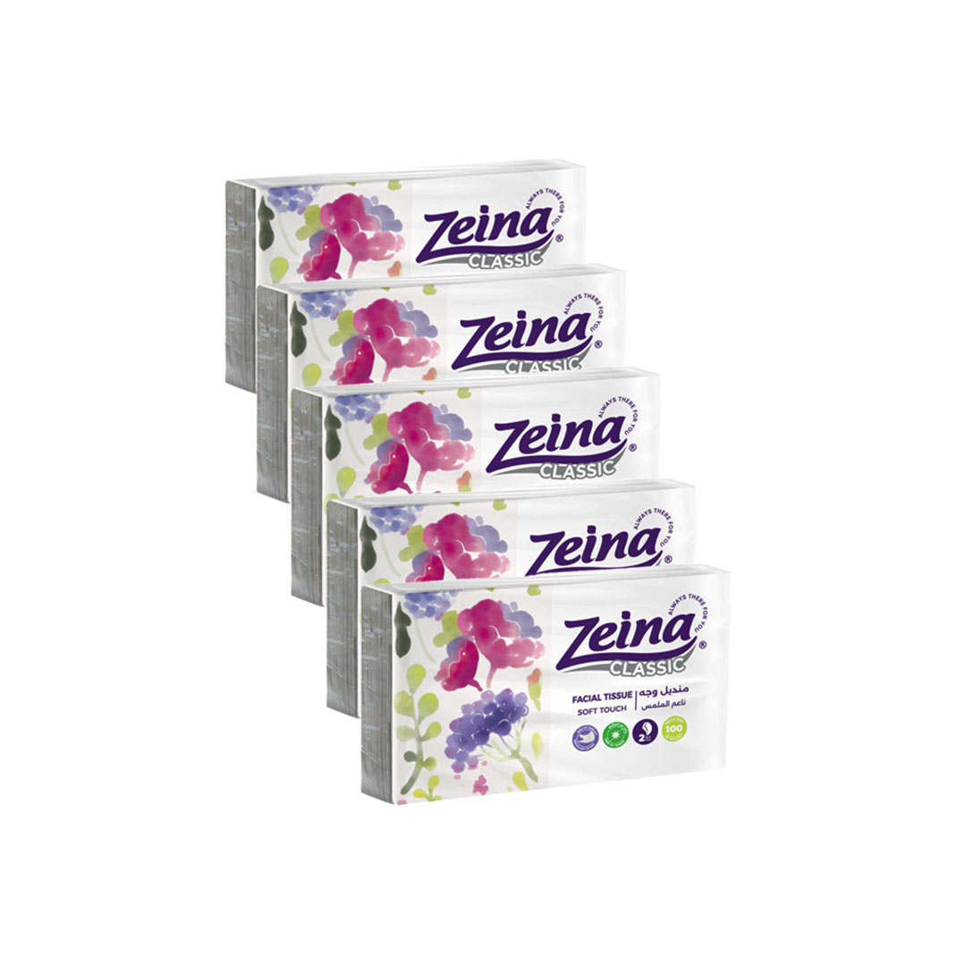 زينه مناديل وجة باك الوان - 100 منديل - 5 قطع
