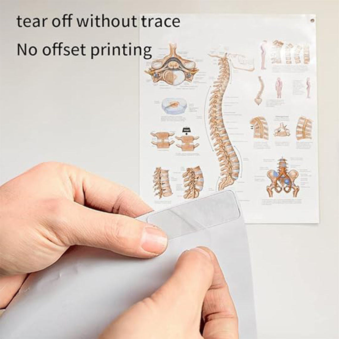 شريط لاصق مزدوج الجوانب مع صندوق تخزين - 60 قطعة - شفاف