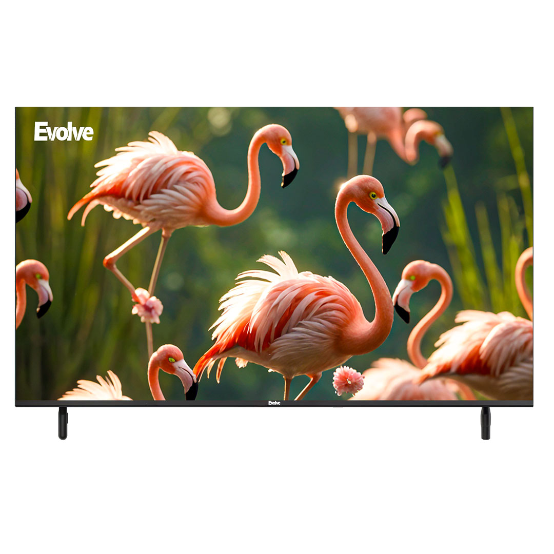 تلفزيون إيفولف - 43 بوصة - FHD LED - بدون إطار - VLD43NA