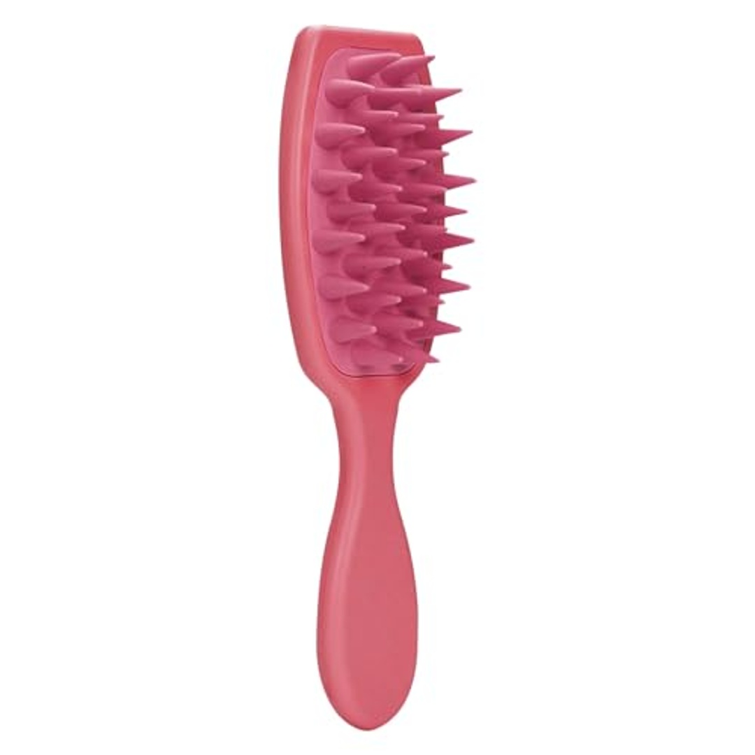 فرشاة شعر شامبو وتدليك عامة متعددة الألوان