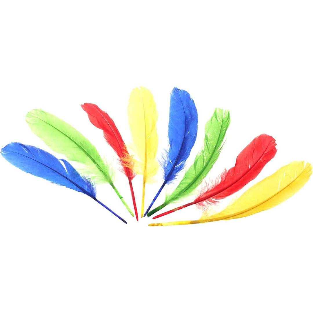 مجموعة ريش ملون - 8 قطع