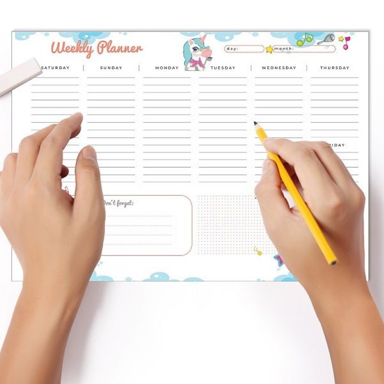 دفتر تنظيم اسبوعى شكل يونيكورن مقاس A4 رقم 1117