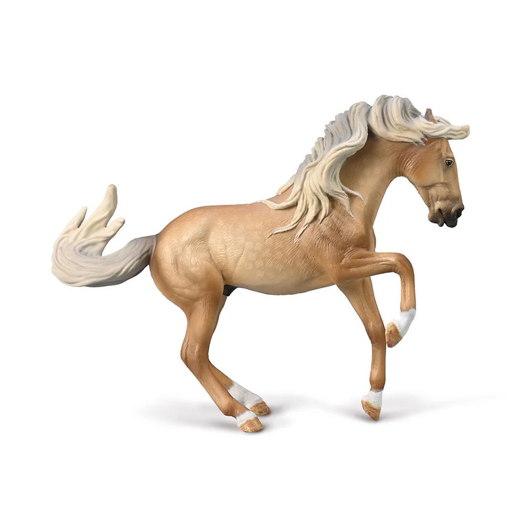 حصان لوسيتانو ستاليون - 80003